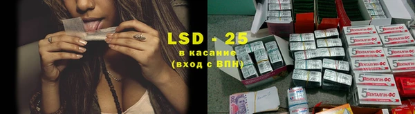 хмурый Лагань