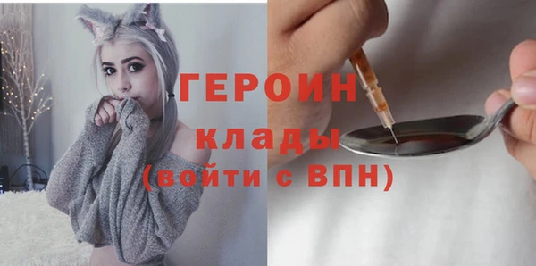 не бодяженный Ладушкин