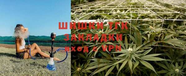 не бодяженный Ладушкин