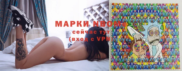 хмурый Лагань
