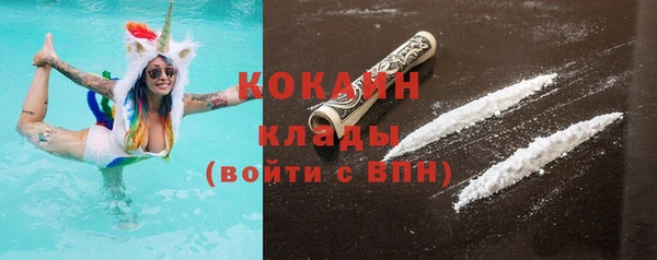 хмурый Лагань